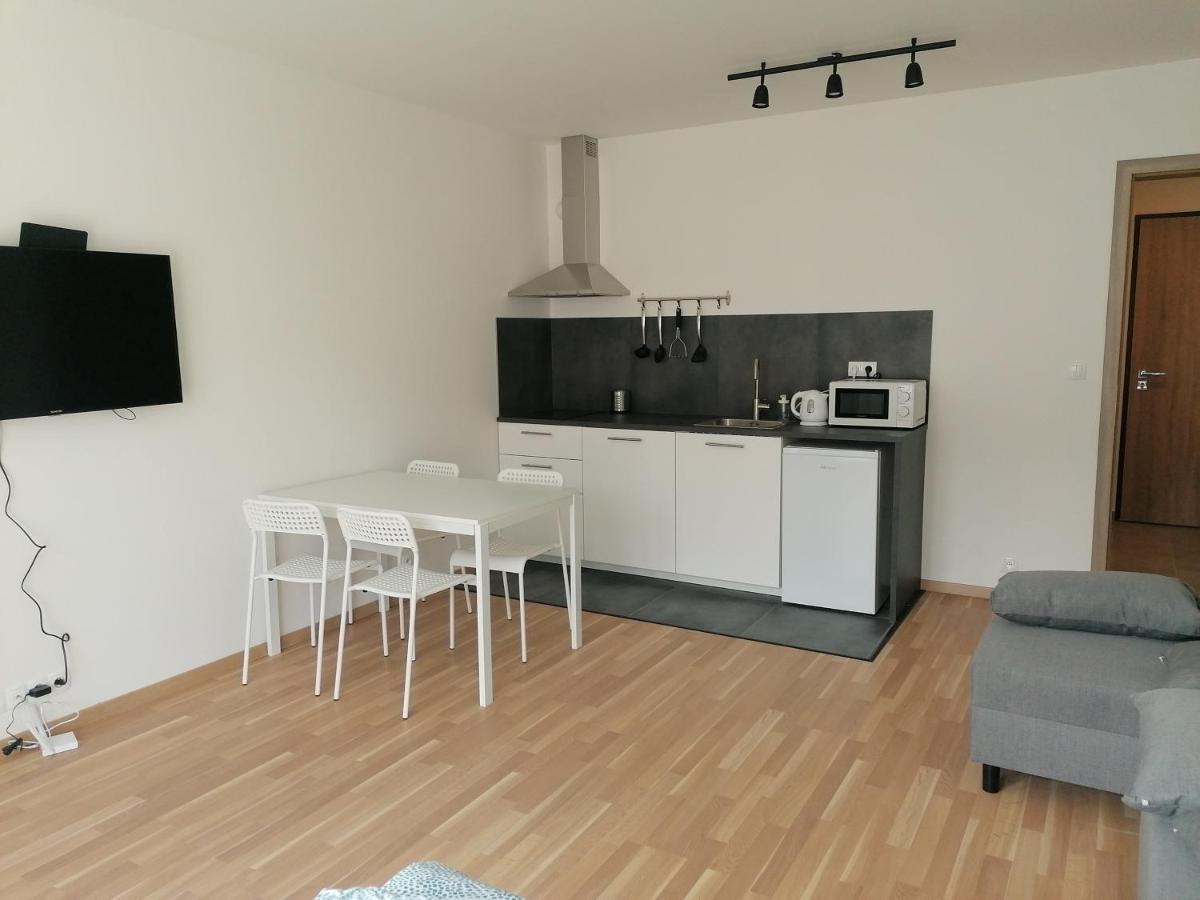 Brand New Studio Apartment #21 With Free Secure Parking In The Center ปราก ภายนอก รูปภาพ