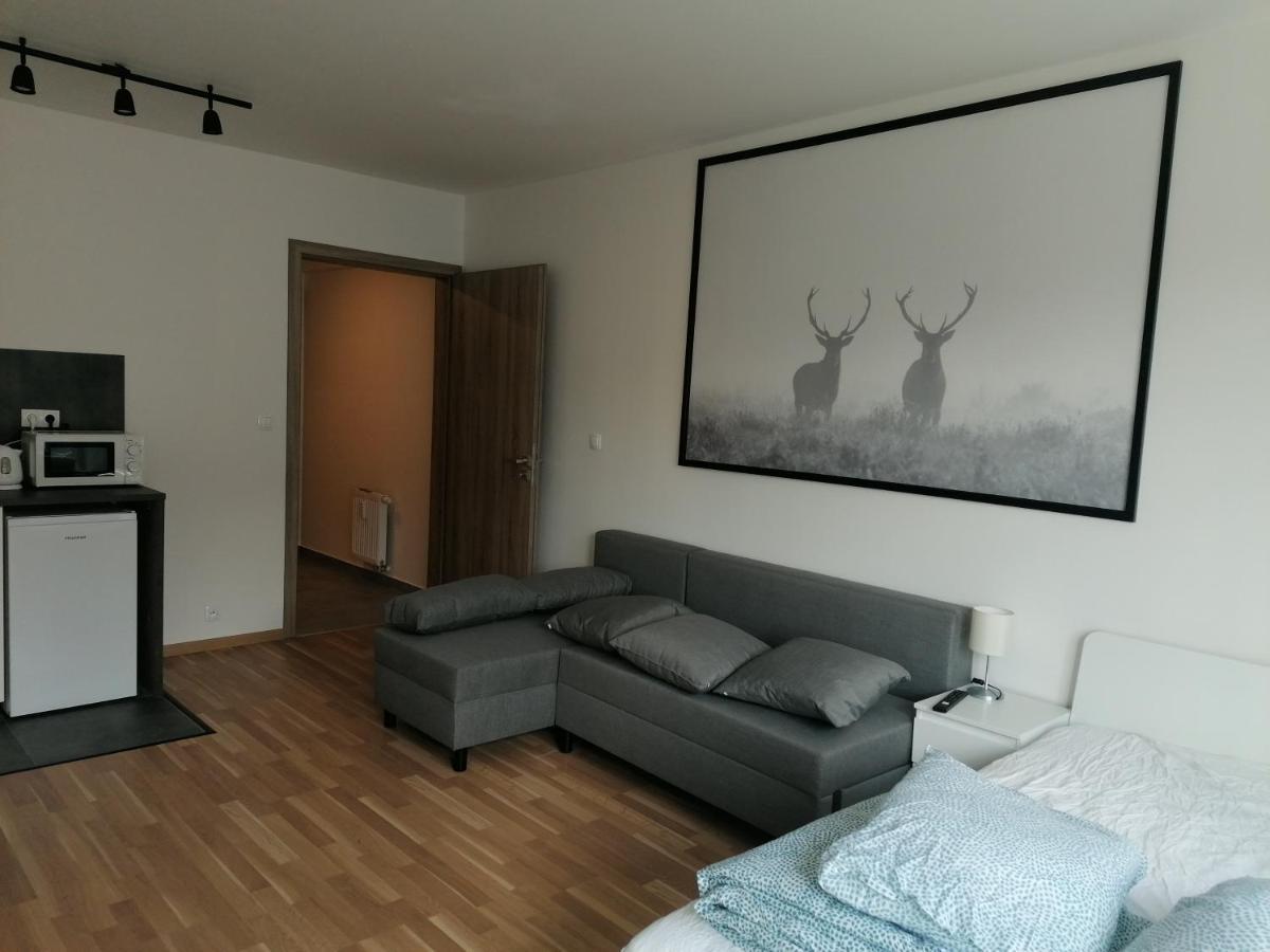 Brand New Studio Apartment #21 With Free Secure Parking In The Center ปราก ภายนอก รูปภาพ
